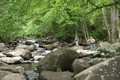 people standing next to smoky mountain river