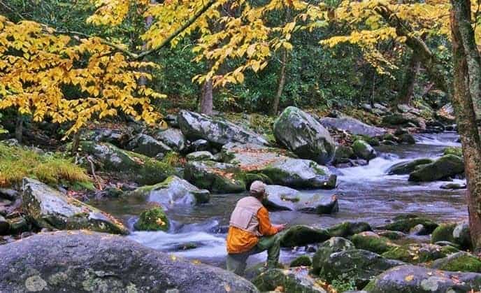 person fishing in a smoky mountain creek