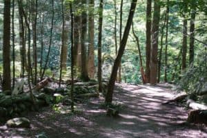 gatlinburg trail in smoky mountains national park- gatlinburg activities for adults