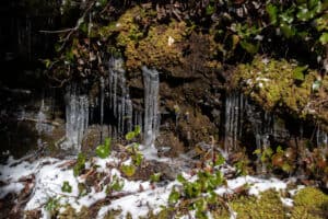 icicles along the Alum Cave Trail in the winter
